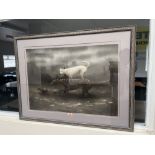 JAMES AYRES. BRITISH CONTEMPORY Two hounds in pursuit of a rabbit. Signed, numbered 1/15. Print on