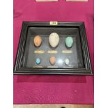 Six artificial models of birds eggs in a box frame. 12½' wide