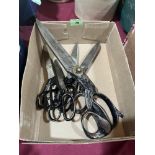 5 pairs of Haberdasher's and other scissors