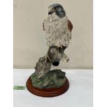 Border Fine Arts. a kestrel by Russell Willis no. 739480. 10½' high