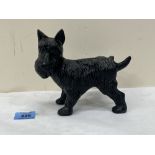 A cast iron Scottish terrier. 7¼' long