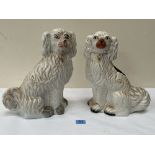 Two 19th century Staffordshire white glazed spaniels. 12½' high