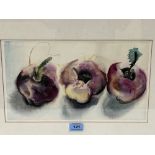 SHIRLEY LAWN. BRITISH CONTEMPORY Three Turnips. Inscribed verso. Watercolour 8' x 14'