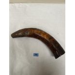 An antique bovine horn, 17' long approx.