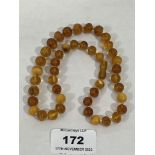 A necklace of clear and clouded amber beads. The string 17' long approx. 20g