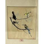 H.J.T. JAMES. BRITISH 20TH CENTURY Indian Birds. Signed, inscribed verso. Watercolour 12½' x 10¾'