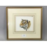 A SMALL WATERCOLOUR - HEAD OF A TIGER BY STEPHEN GAYFORD