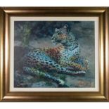 LEOPARD RECLINING AT DUSK, LIMITED EDITION CANVAS PRINT