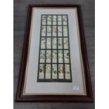 A FRAMED CIGARETTE CARD COLLECTION