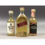 25 ASSORTED WHISKY MINIATURES - INCLUDING HAIG'S GOLD LABEL 70° PROOF