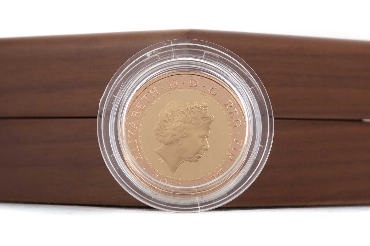 THE 2011 MARY ROSE TWO POUND GOLD PROOF COIN