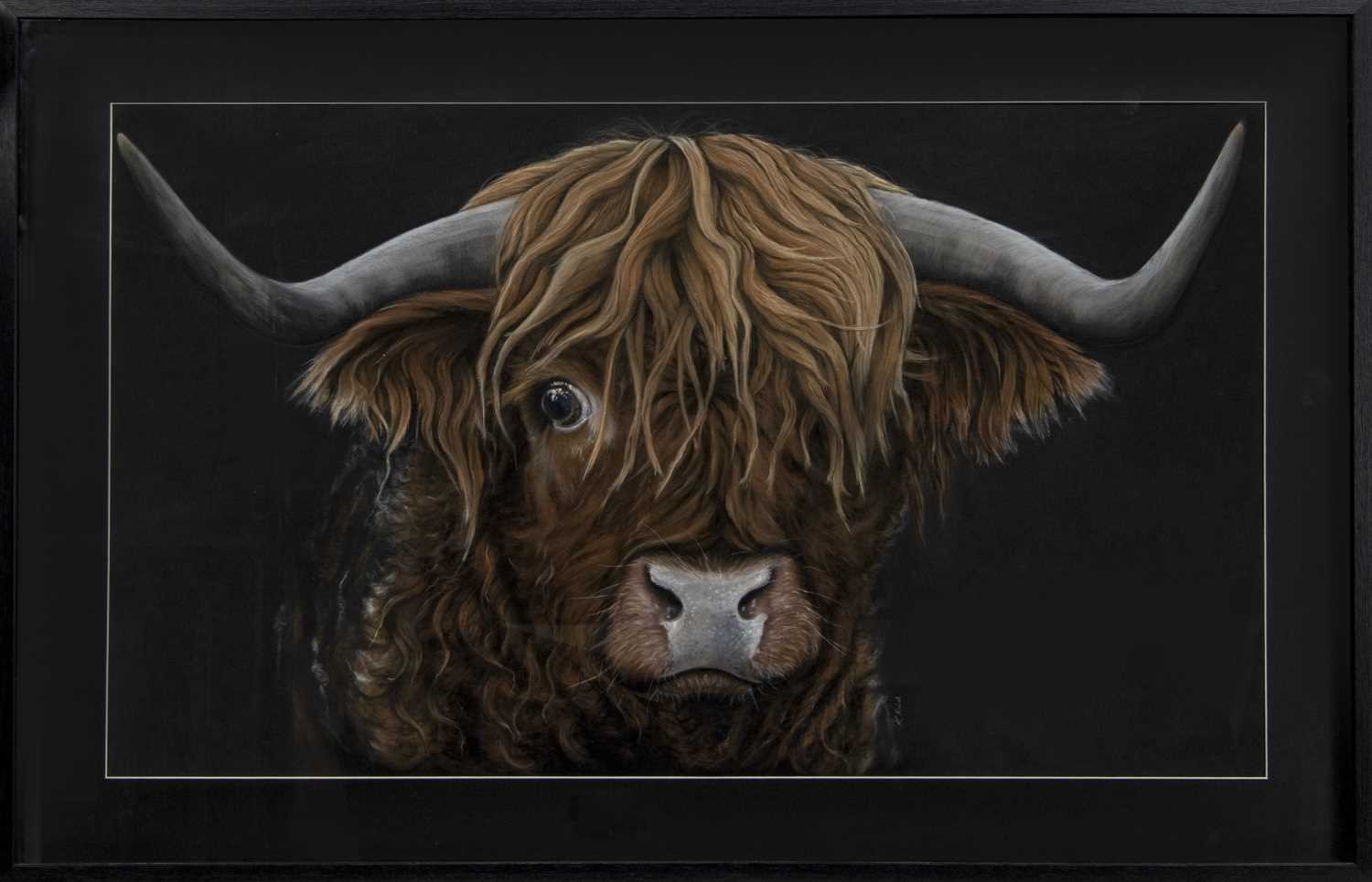 HIGHLAND COW, A PASTEL BY KAY REID