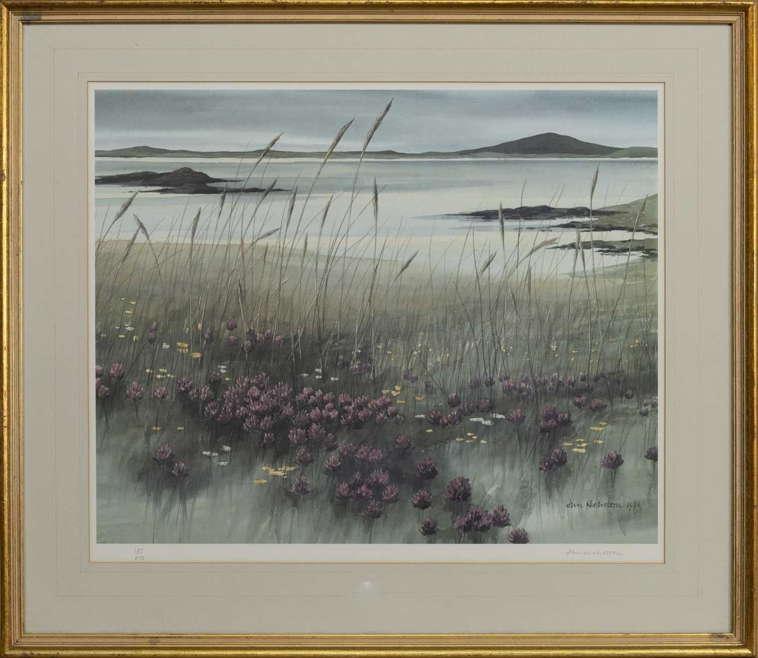 NORTH WEST COAST, A SIGNED LIMITED EDITION PRINT BY JIM NICHOLSON