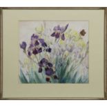 IRIS AND BUTTERFLY, A WATERCOLOUR BY KATE CAMERON