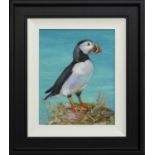 SINGLE PUFFIN, AN OIL BY ZHANNA PECHUGINA