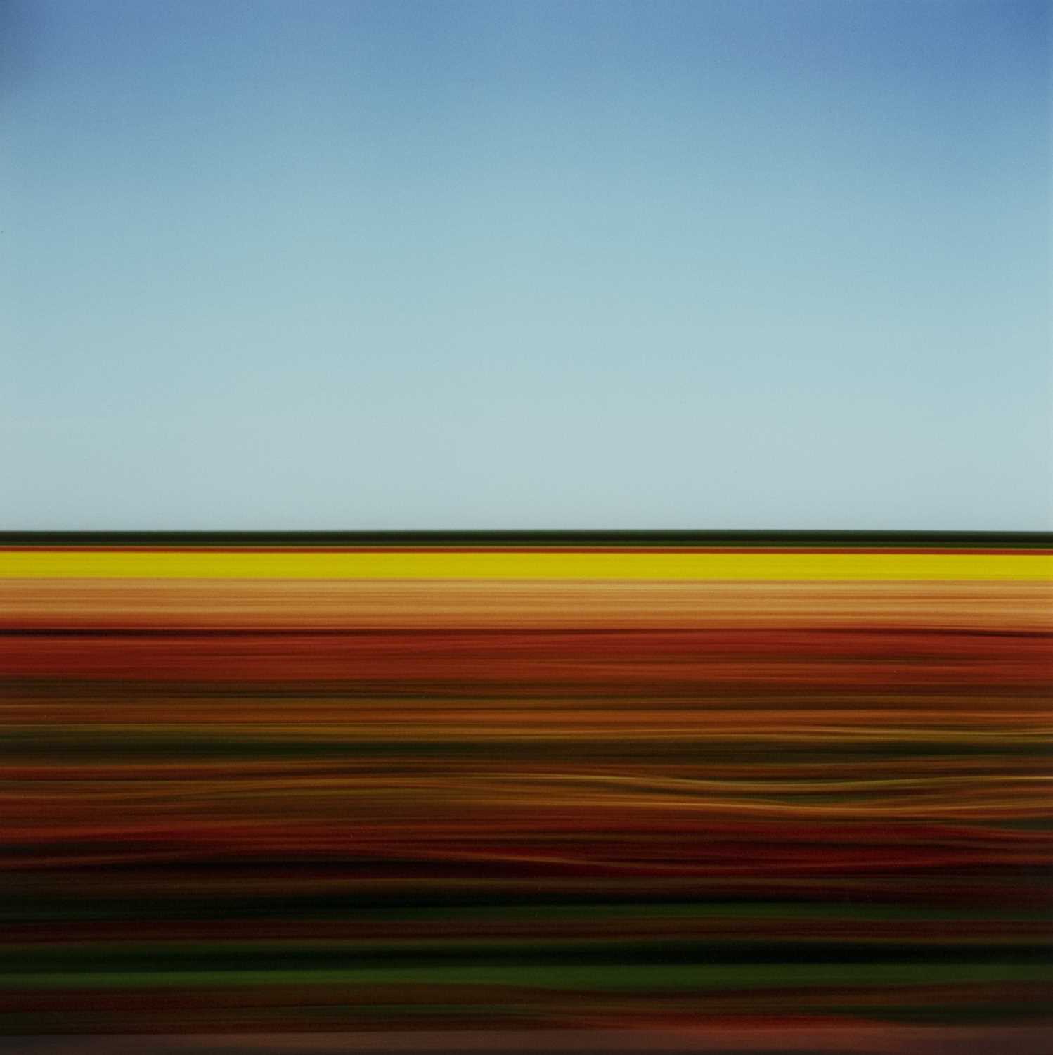 TRAVELLING STILL, TULIP FIELDS XCII, HOLLAND 2006, A PRINT BY ROB CARTER
