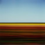 TRAVELLING STILL, TULIP FIELDS XCII, HOLLAND 2006, A PRINT BY ROB CARTER