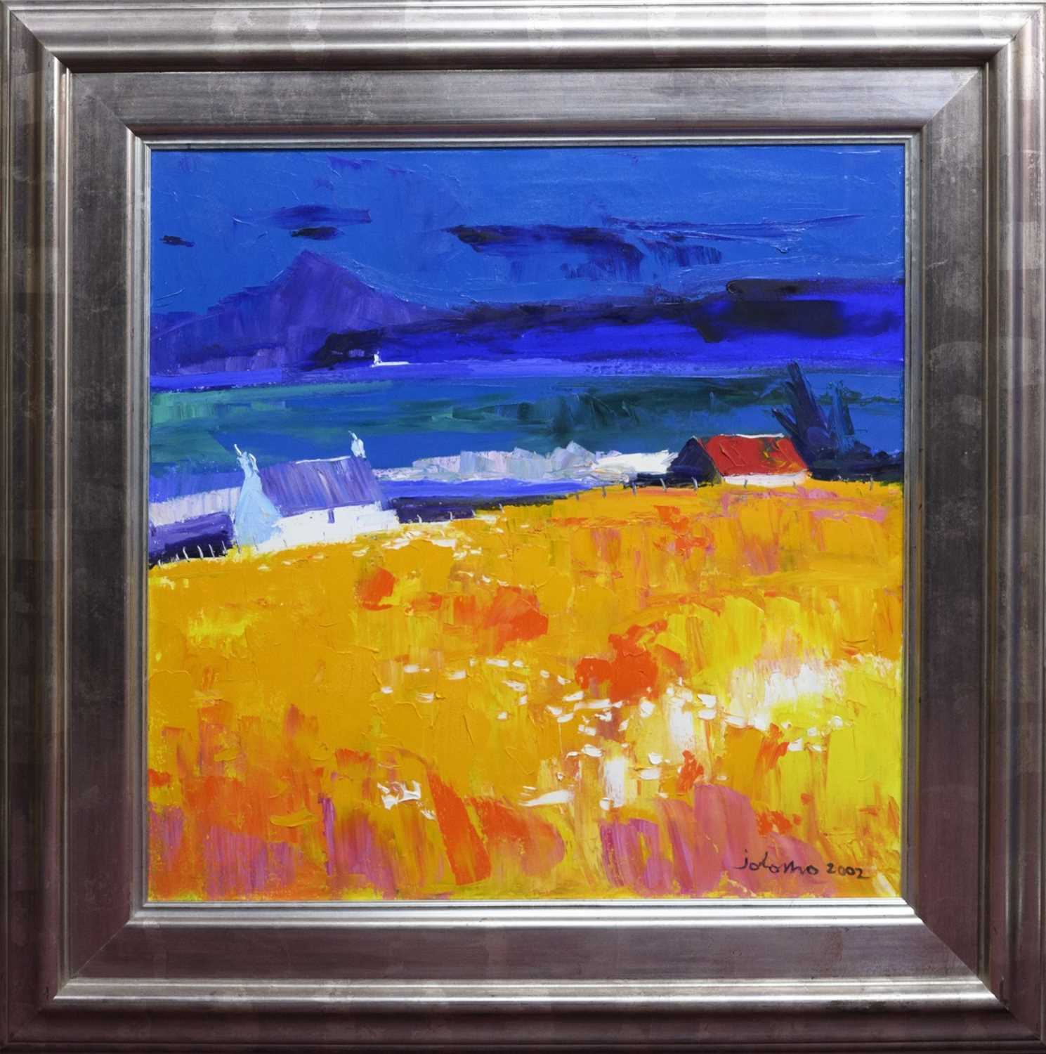 CORNFIELD - KILCHOAN, ARDNAMURCHAN, AN OIL BY JOLOMO