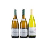 2015 CORTON-CHARLEMAGNE GRAND CRU 75CL AND DOMAINE MARQUIS D'ANGERVILLE 2015 MEURSAULT SANTENOTS 1ER