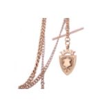 A NINE CARAT GOLD ALBERT CHAIN WITH SHIELD CHARM