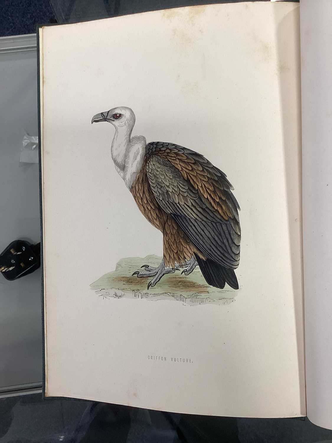 A HISTORY OF BRITISH BIRDS, MORRIS (REV. F.O.) - Image 7 of 53