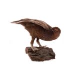 A TAXIDERMY RED GROUSE