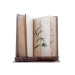 A RARE COMPLETE SET OF NEES VON ESENBECK'S ICONES PLANTARUM MEDICINALIUM