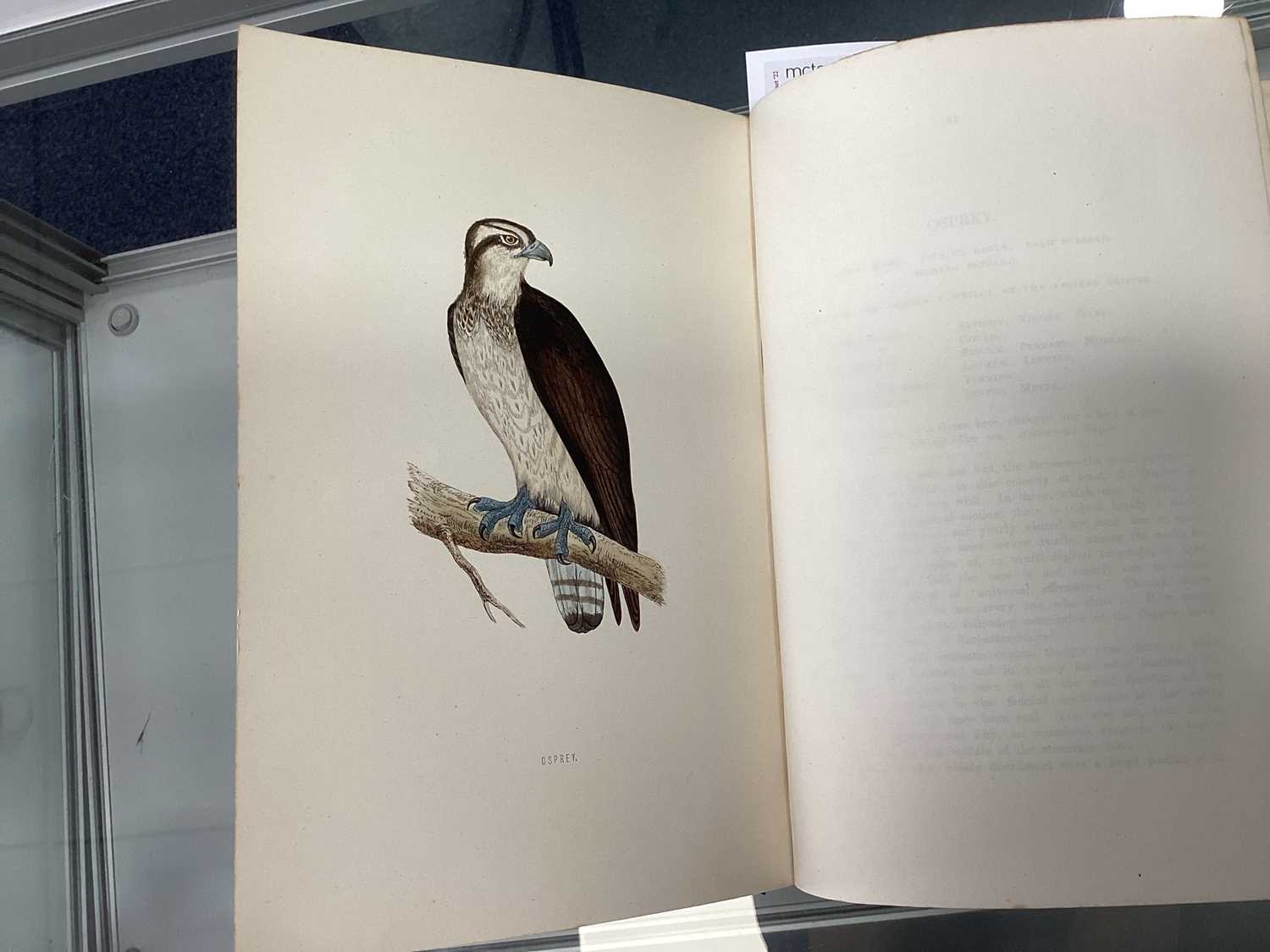 A HISTORY OF BRITISH BIRDS, MORRIS (REV. F.O.) - Image 9 of 53