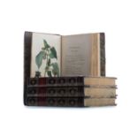 SET OF FOUR VOLUMES OF STEPHENSON & CHURCHILL'S MEDICAL BOTANY