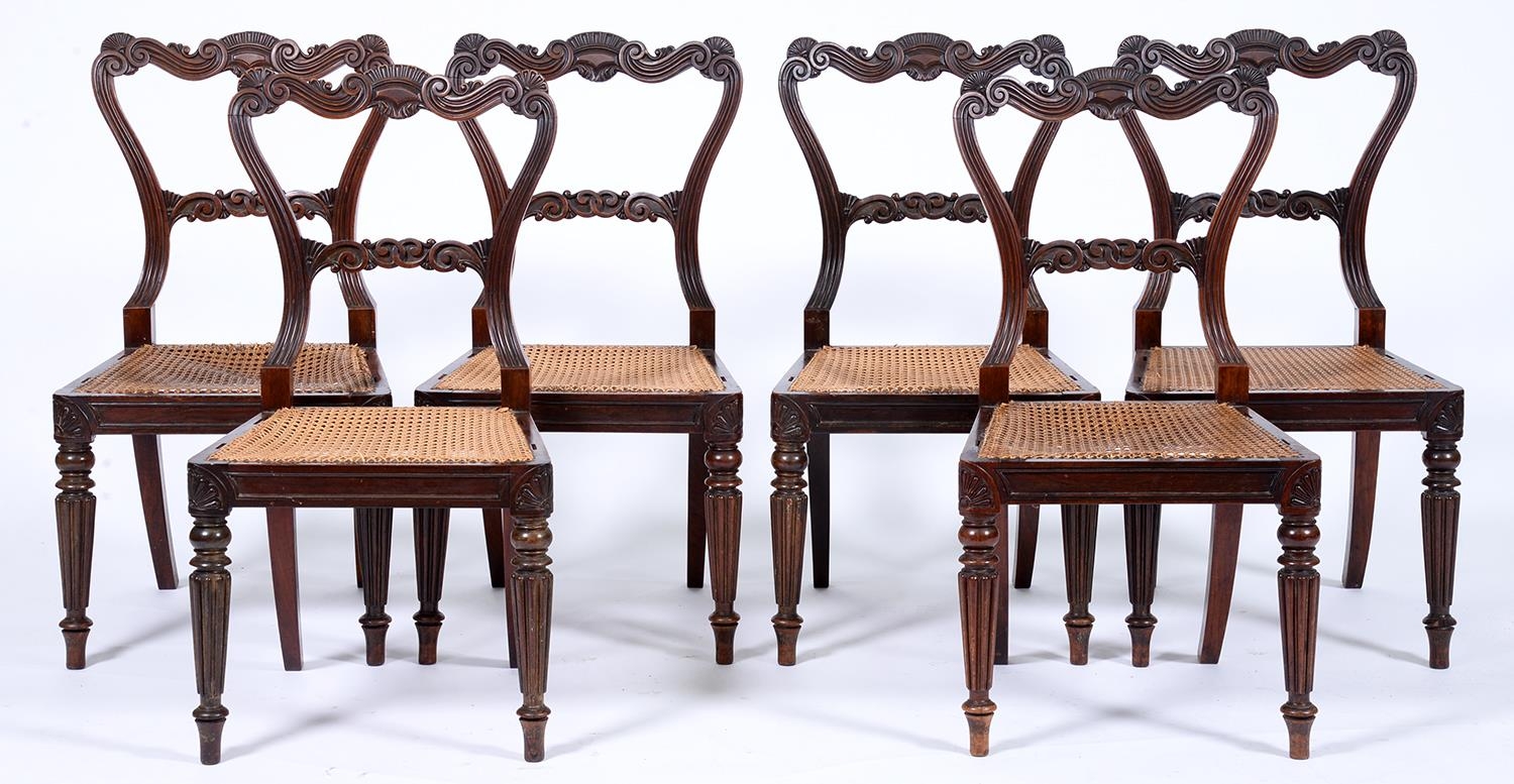 A set of six George IV carved rosewood dining chairs, on reeded tapering turned fore legs, caned