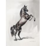 Douglas Compton (20th c) - Rearing Horse, signed and dated 1952, watercolour en grisaille, 37 x 27cm