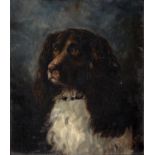 English School, 1893 - Portrait of a Spaniel, signed with initials A M H and dated 11/12 '93, oil on