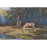 British School, 1970 - Mare and Foal in a Glade, indistinctly signed and dated, oil on hardboard, 41