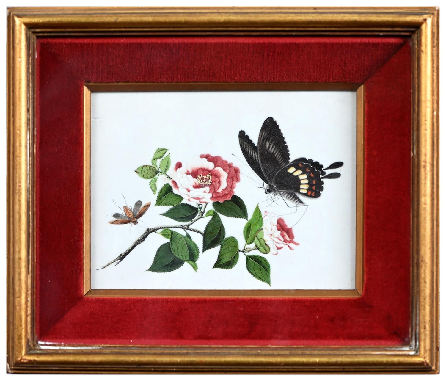 A Chinese rice paper painting, 19th c,  butterflies and camellia, 13 x 17cm In apparently good - Image 2 of 3