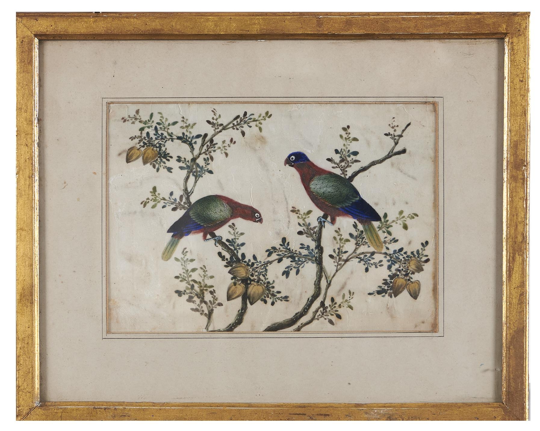 Three Chinese rice paper paintings, early 19th c,  birds in branches, 18 x 25cm Somewhat stained and - Image 5 of 6