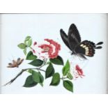 A Chinese rice paper painting, 19th c,  butterflies and camellia, 13 x 17cm In apparently good