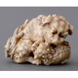 A Japanese ivory netsuke of a shi-shi lion and young, Meiji period, 40mm l, signed Tomokoto