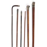 Miscellaneous Victorian and Edwardian canes, including gold and silver mounted malacca and other