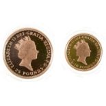 Gold coins. United Kingdom Britannia quarter and tenth ounce two coin proof set, 1989, cased