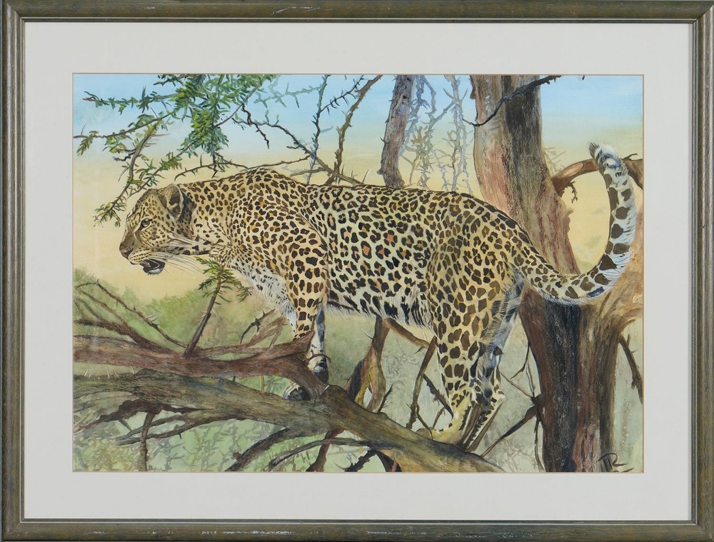 20th c School - A Leopard, signed with initial R, watercolour, 49.5 x 71cm Good condition - Bild 2 aus 3