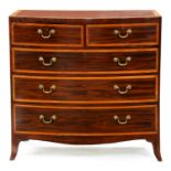 A Regency mahogany bow front chest of drawers, outlined throughout with satinwood crossbands,