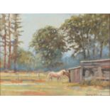 Terry Ward (20th / 21st c) - Horses in a Field, signed, oil on board, 14 x 19cm Good condition