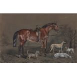 J Carter, 1854 - Portrait of a Chestnut Hunter, Hounds and two other dogs, signed and dated, ink and