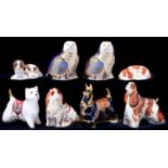 Eight Royal Crown Derby dog paperweights, American Spaniel, Cavalier King Charles Spaniel, West