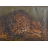 F C Reid (19th / early 20th c) after Geza Vastagh - Repose (Lion and Lioness), signed, oil on