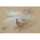 James Stinton (1870-1961) - Pheasants, signed, watercolour on coloured paper, 13 x 19cm Good