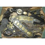 Miscellaneous horse brasses,Â various patterns Condition