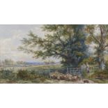 Joseph Paul Pettitt (1812-1882) - Driving Sheep, signed, watercolour, 24.5 x 34.5cm In apparently