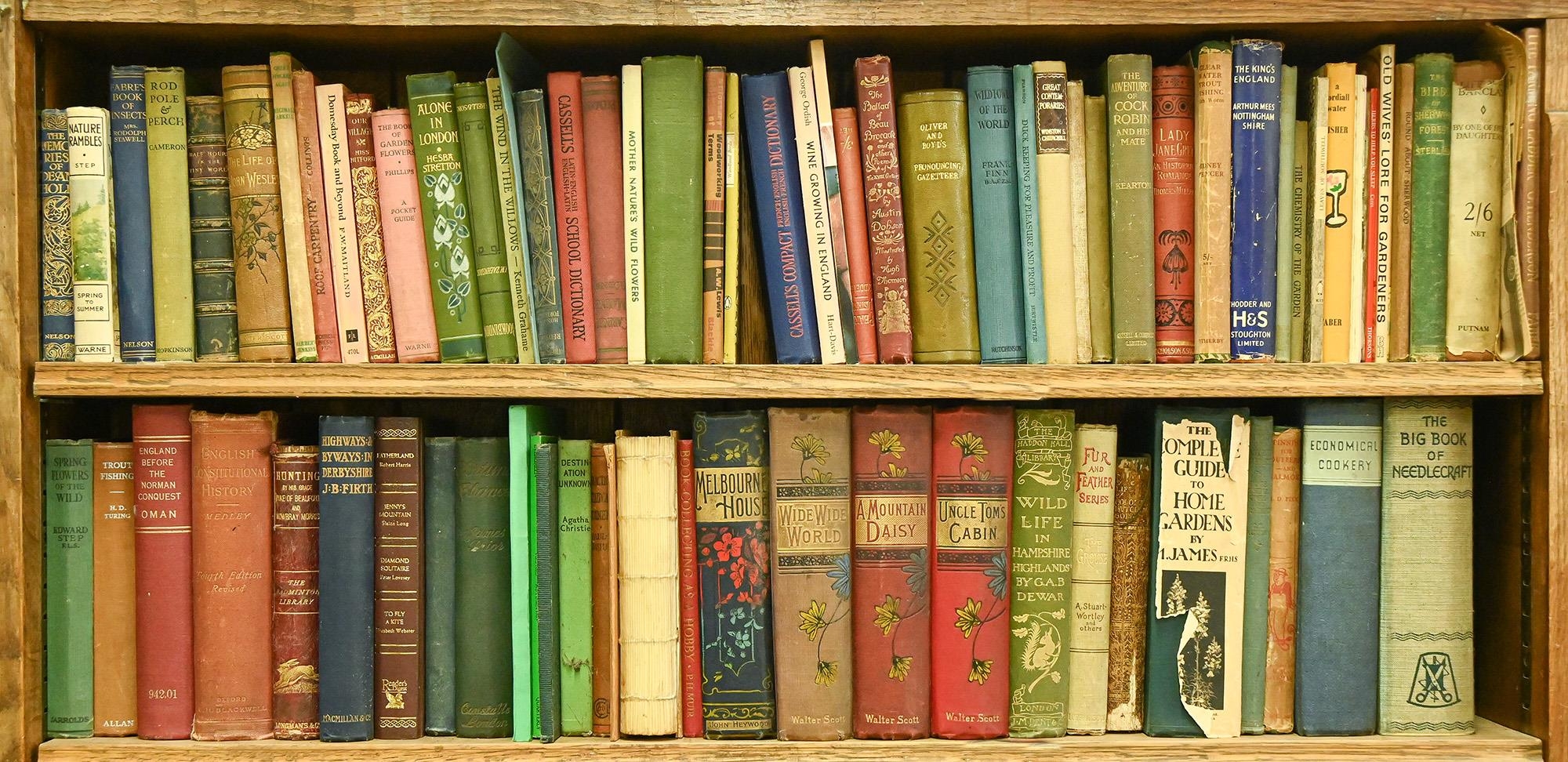 Books.  Miscellaneous general shelf stock, 19th c and later (6 shelves)