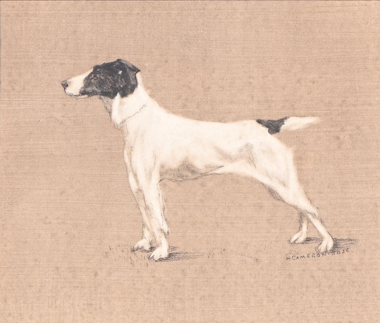 Hugh Adam Cameron-Rose (1909-1937) - Portraits of Spaniels and a Terrier, a set of three, all - Image 4 of 8